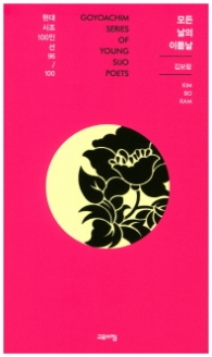 모든 날의 이튿날 (현대시조 100인선 96)